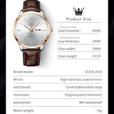 OLEVS Men's Watch Brand Business Waterproof Luminous Week Date Quartz Watch Fashion Leather Strap Classic Luxury Men's Watch