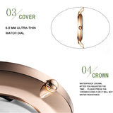 Women Watch Top Brand Japan Quartz Movement 36mm Rose Gold Waterproof Fashionable Nordic Minimalist Ladies Watches